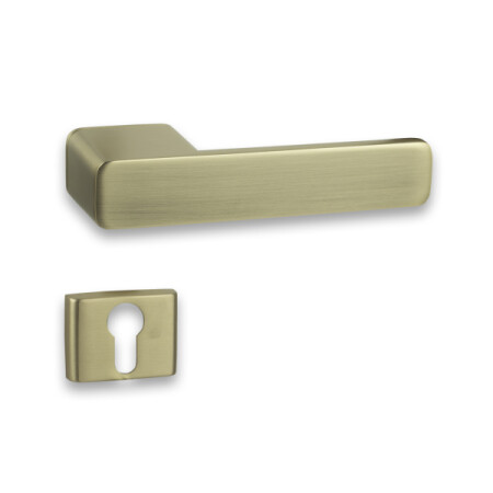 COBRA STRIGA-S (MATT ARANY) ajtóvasalat